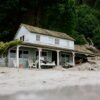 Pest Infestation Insurance