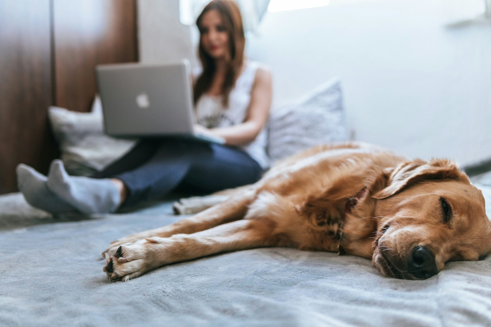 Bedbugs and Insurance: Are You Protected?