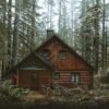Tree Damage Insurance