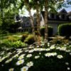 Homeowners Insurance Myths