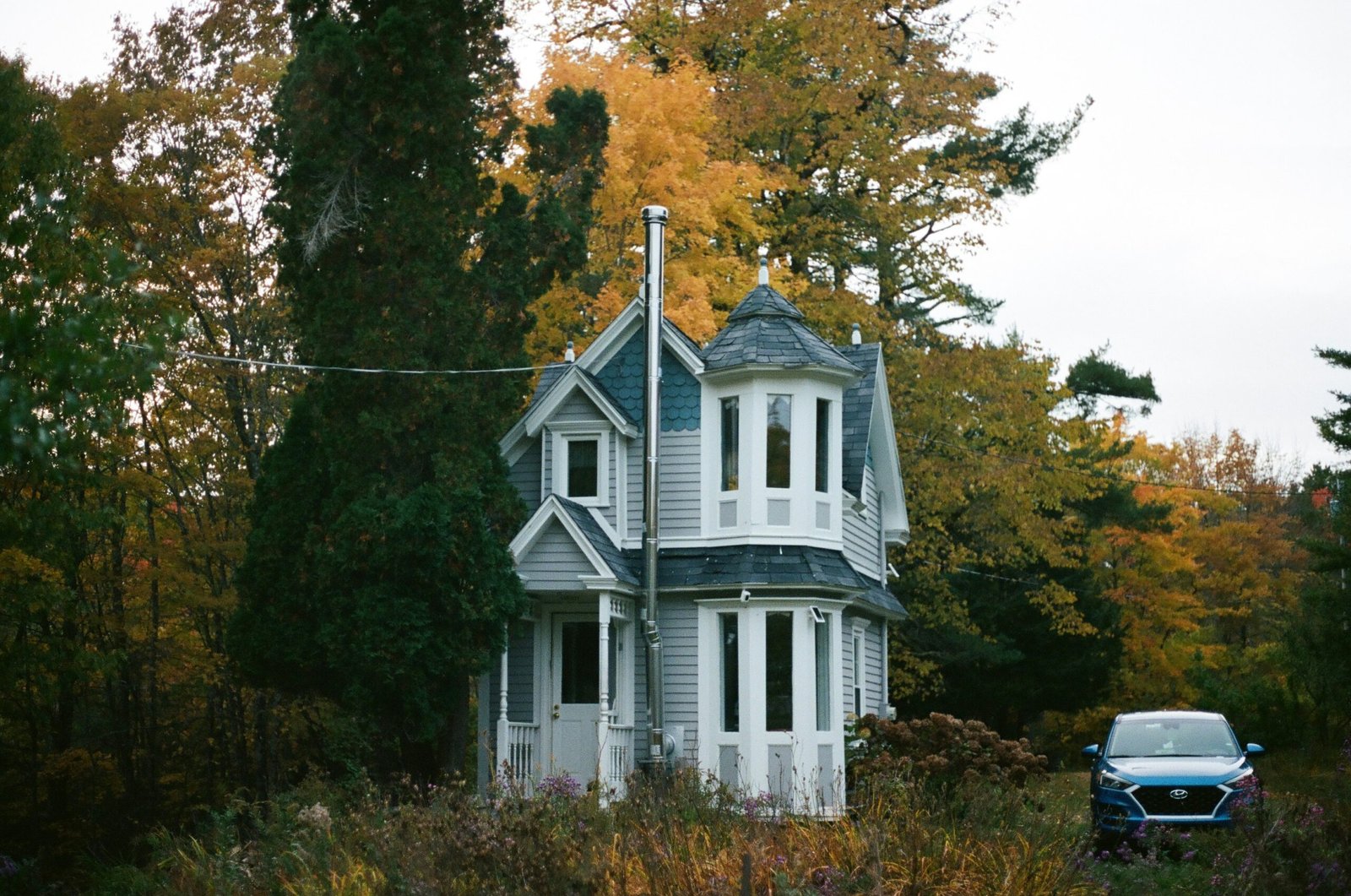 pest control tips for Homeowners