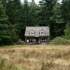 Mold Growth Insurance