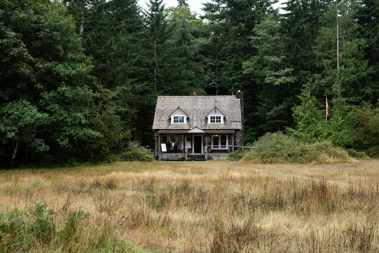 Mold Growth in Your Home: Is It Covered by Insurance?